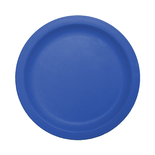 9 Inch Dinner Plate
